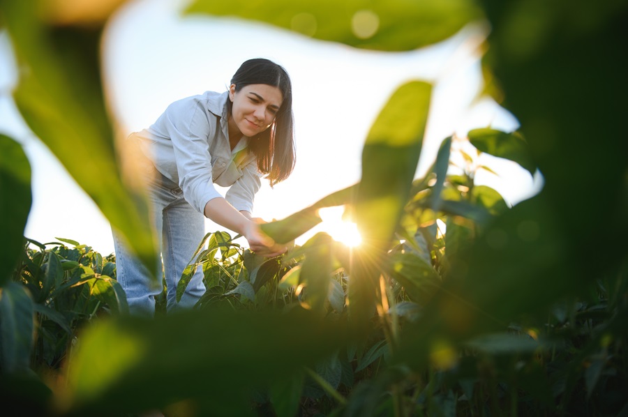 agricultrice dans un champ 