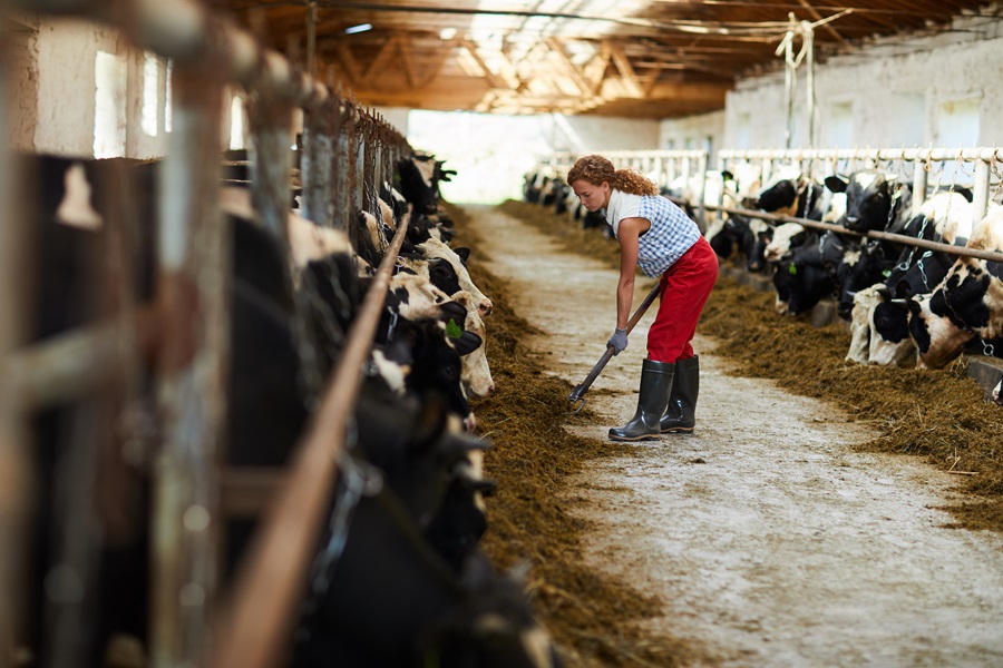  agricultrice en train de nettoyer une ferme 