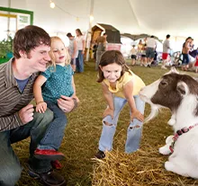 Fêtes agricoles 22 et 85