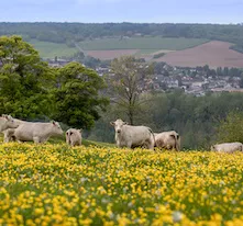 agriculture-régénérative